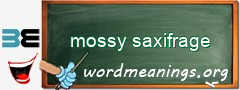 WordMeaning blackboard for mossy saxifrage